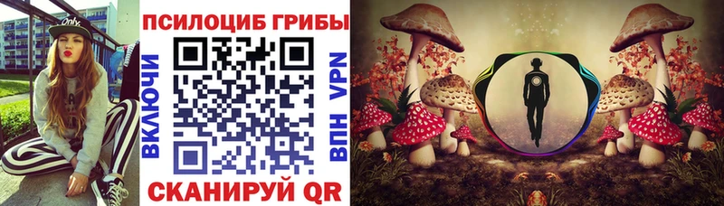 blacksprut сайт  Тимашёвск  Галлюциногенные грибы мицелий  цены наркотик 